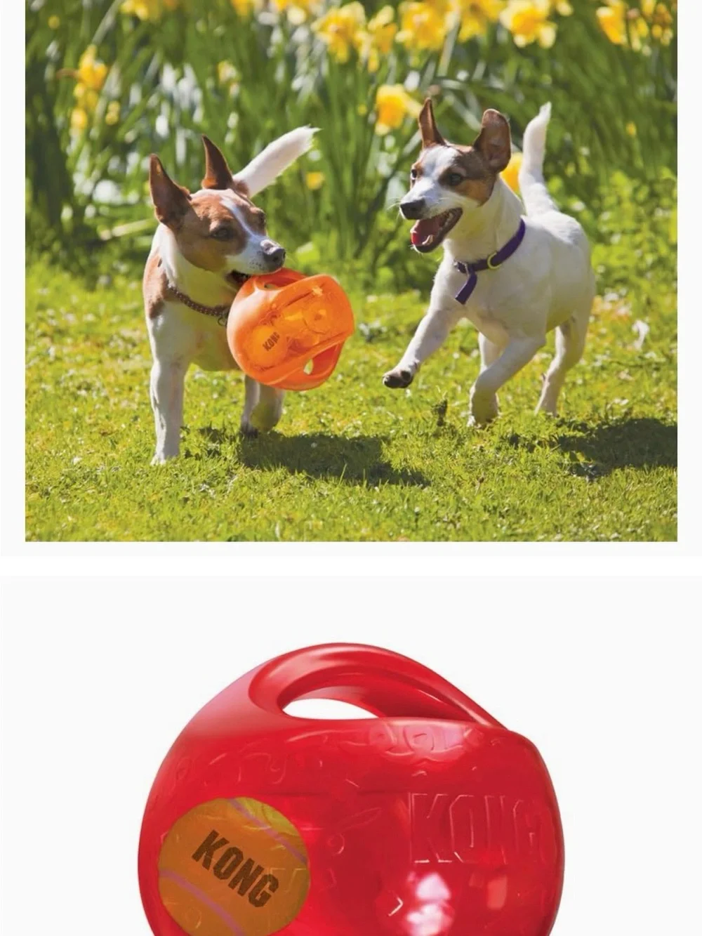 Kong Kids Orange Grip Ball with Handle